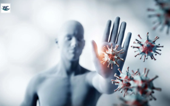 Humoral vs Cell-Mediated Immunity | World care magazine